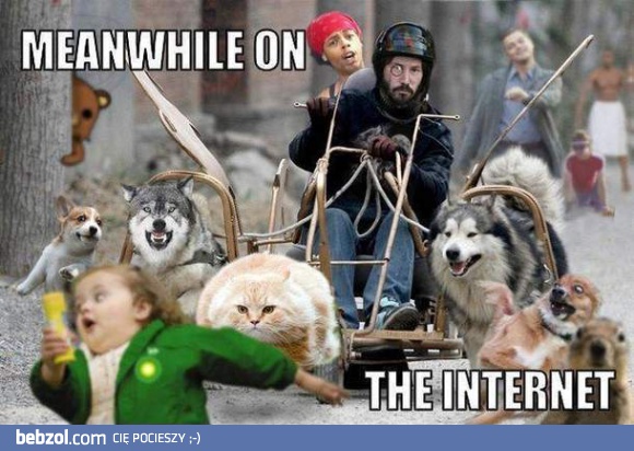 Tymczasem w internecie
