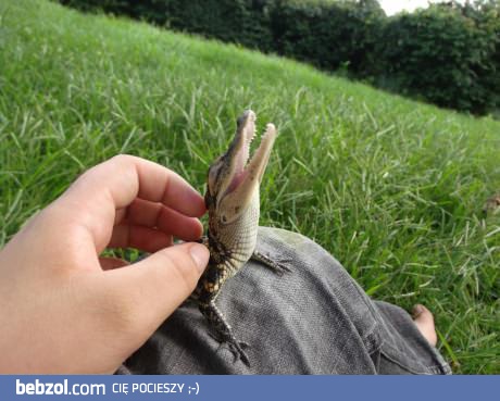 Taak, człowieku! Drap za uszkiem!