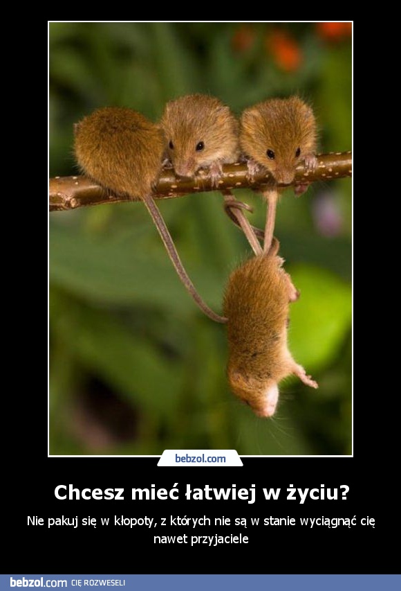 Chcesz mieć łatwiej w życiu?