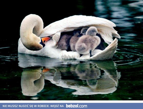 Wszyscy na pokładzie?