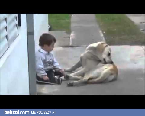 Pies opiekuje się dzieckiem z zespołem Downa