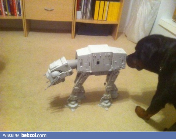 Ktoś tu się zakochał