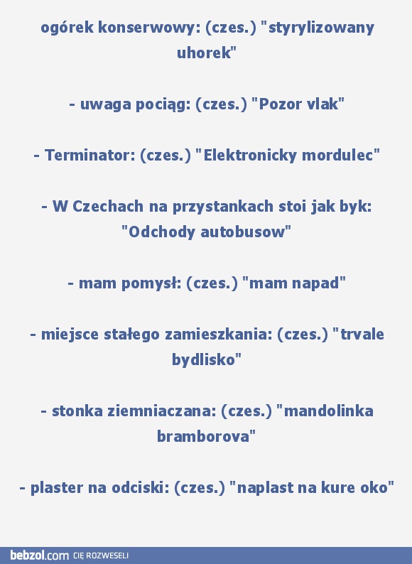 Czeski język ciągle nas bawi :)