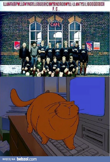 Jak stworzyli tę nazwę?