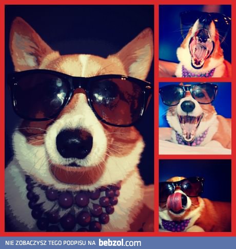 Pewnie i tak wyrwie więcej lasek niż ty