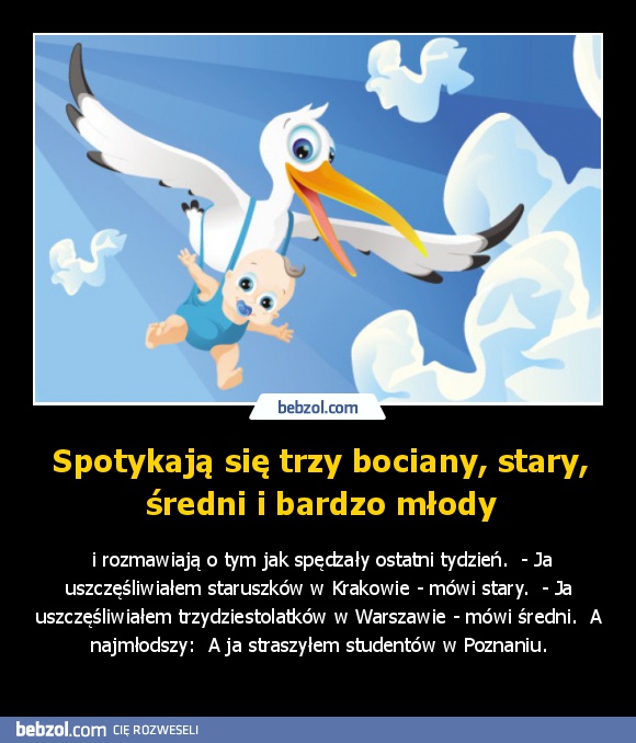 Spotykają się trzy bociany, stary, średni i bardzo młody