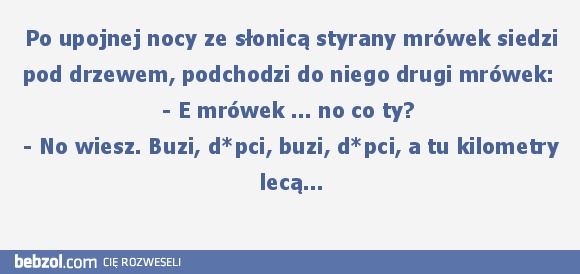 Kilometry lecą...