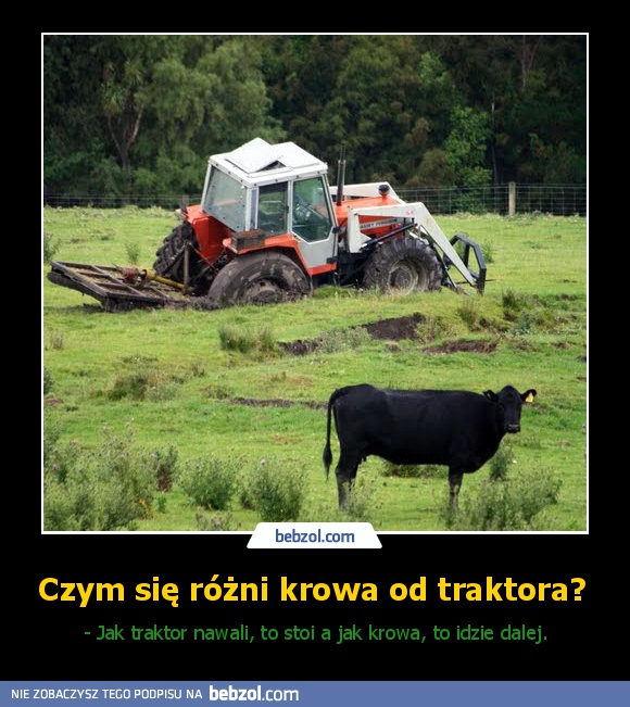 Czym się różni krowa od traktora? 