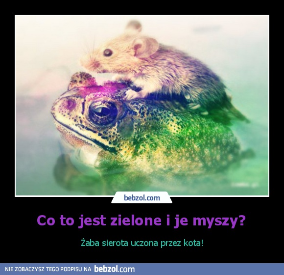 Co to jest zielone i je myszy? 