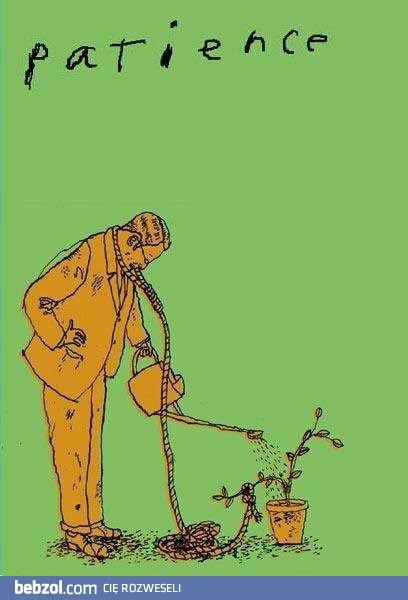 Cierpliwość