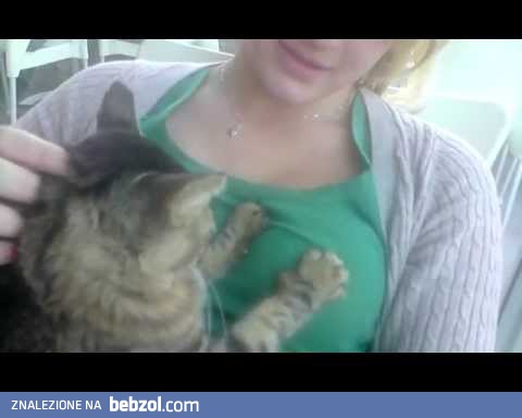 W kolejnym wcieleniu będę kotem!