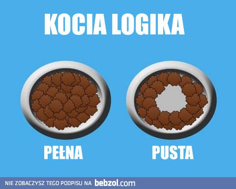 Kocia logika