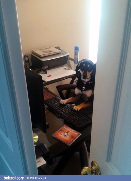 Nie mam pojęcia co ja tu robię!