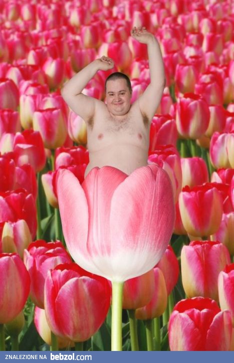 Laurka dla ukochanej