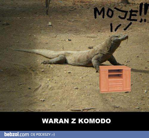 Waran z Komodo