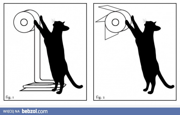 Właśnie dlatego wieszam papier w 