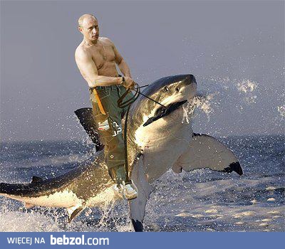 Taki twardy, że aż Putin