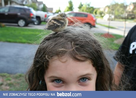 Znalazł sobie gniazdko