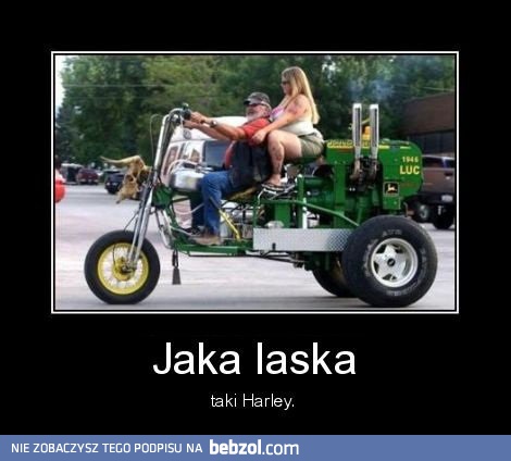 Jaka laska, taki Harley