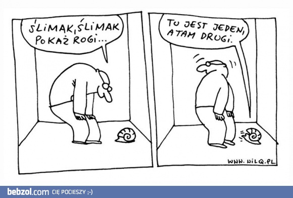 Ślimak, ślimak pokaż rogi!