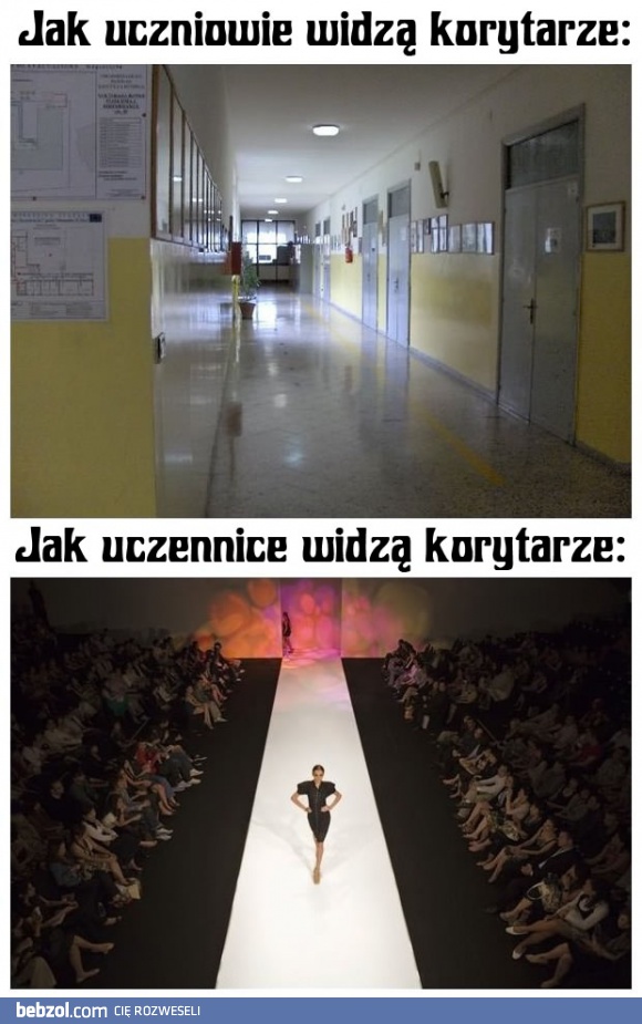 Szkolna rewia