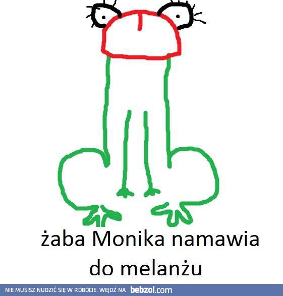 Żaba Monika namawia do melanżu