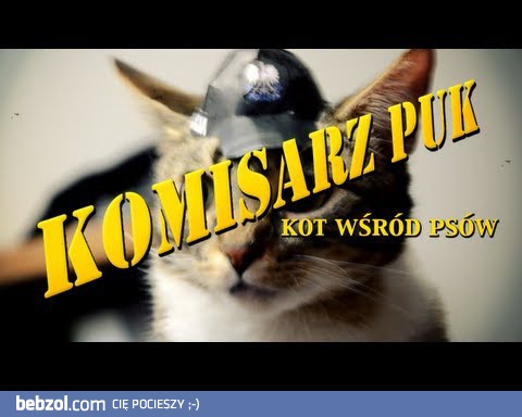 Komisarz Puk
