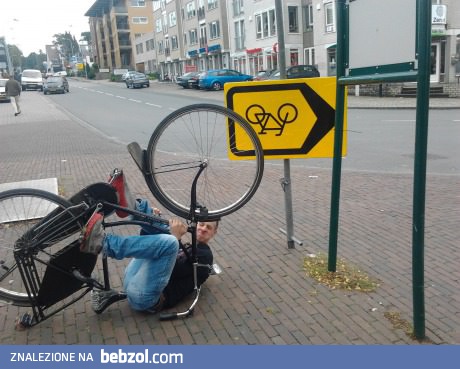 Tymczasem w Holandii