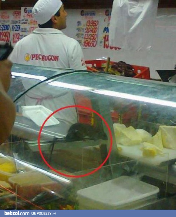 Higiena przede wszystkim