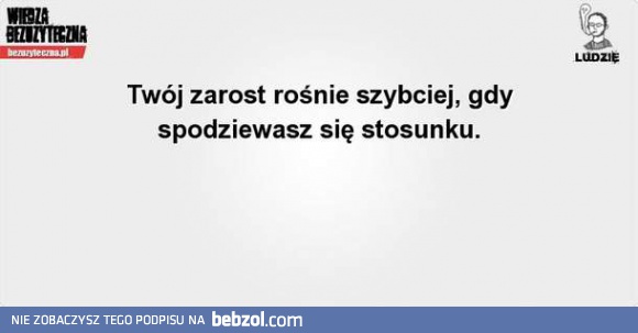 Twój zarost rośnie szybciej, kiedy...