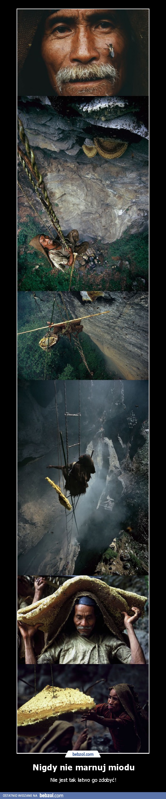 Nigdy nie marnuj miodu