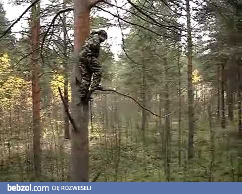 Jak NIE skakać z drzewa