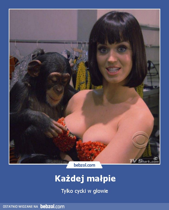 Każdej małpie