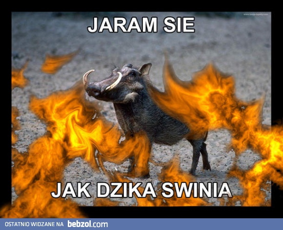 Jaram się