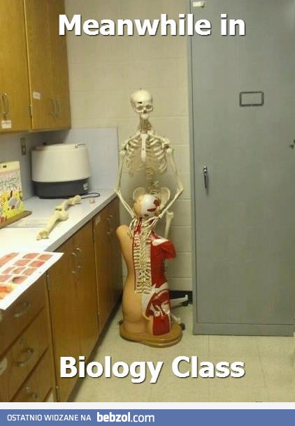 Biologia w gimnazjum