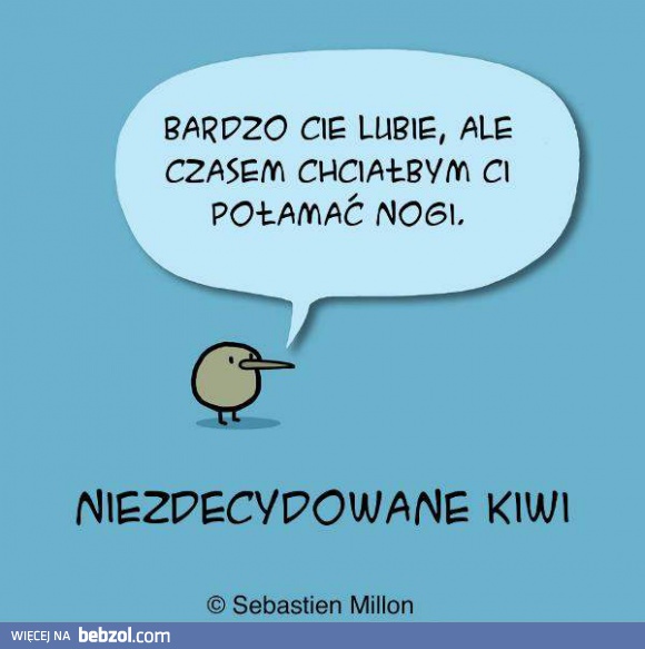 Kiwi nie może się zdecydować