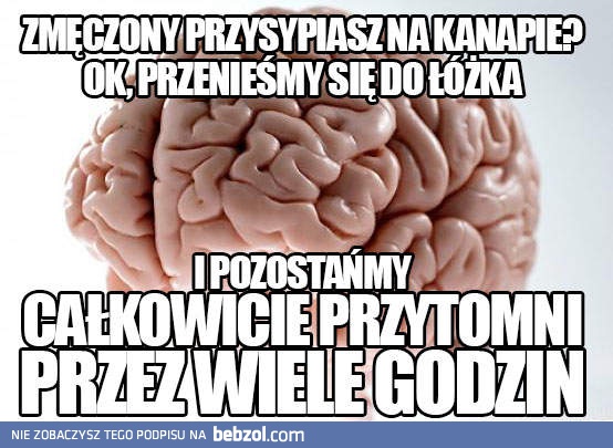 Głupi mózgu!