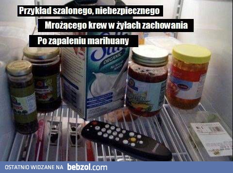Szalone zachowanie narkomana