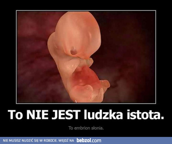 To NIE JEST ludzka istota!