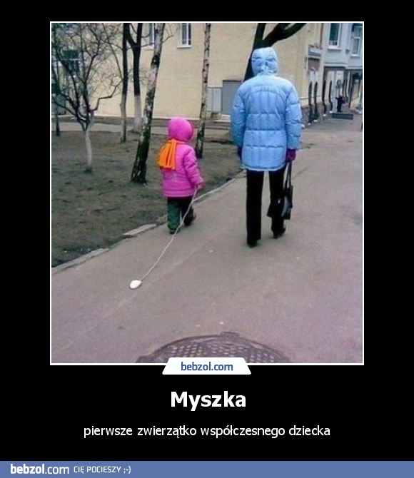 Myszka