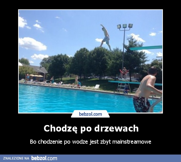 Chodzę po drzewach