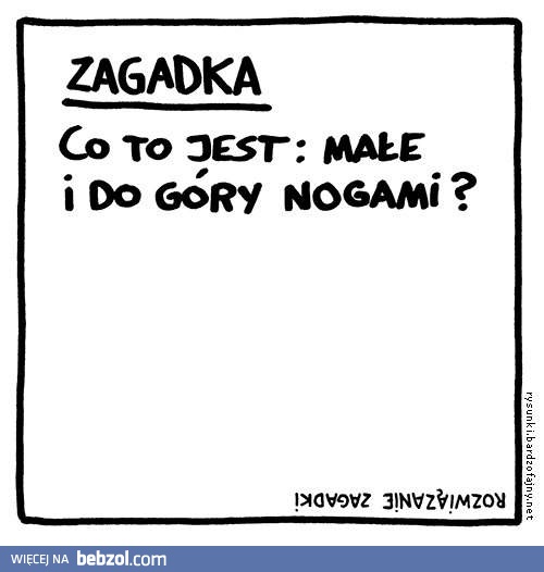 Zagadka na dziś