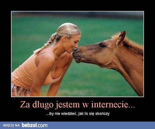 Za długo jestem w internecie, by...