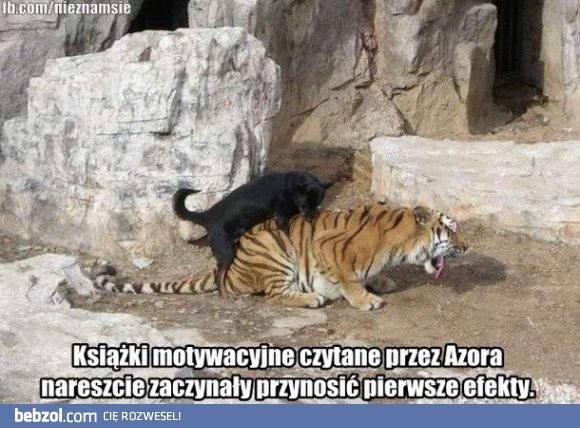 Pierwsze efekty książek motywacyjnych
