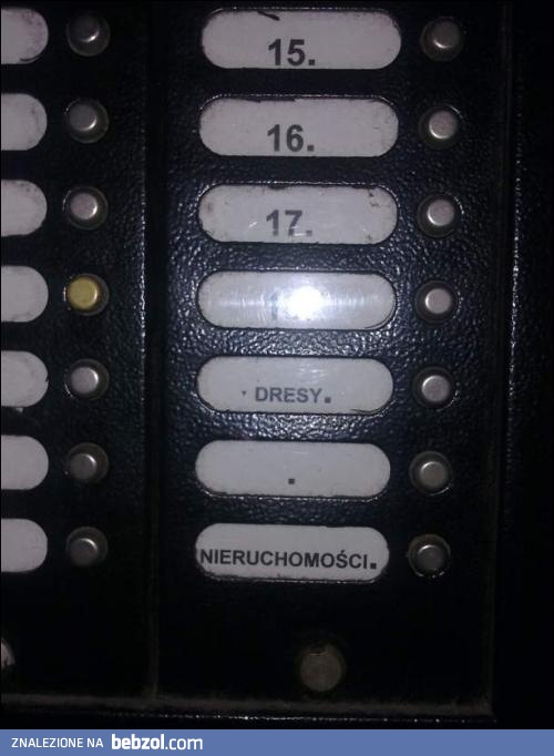 Dresy - usługi windykacyjne