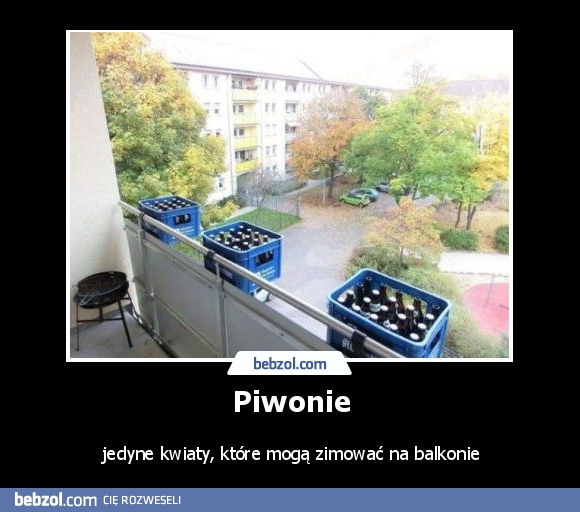 Piwonie