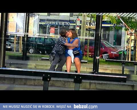 Urocza parka na przystanku