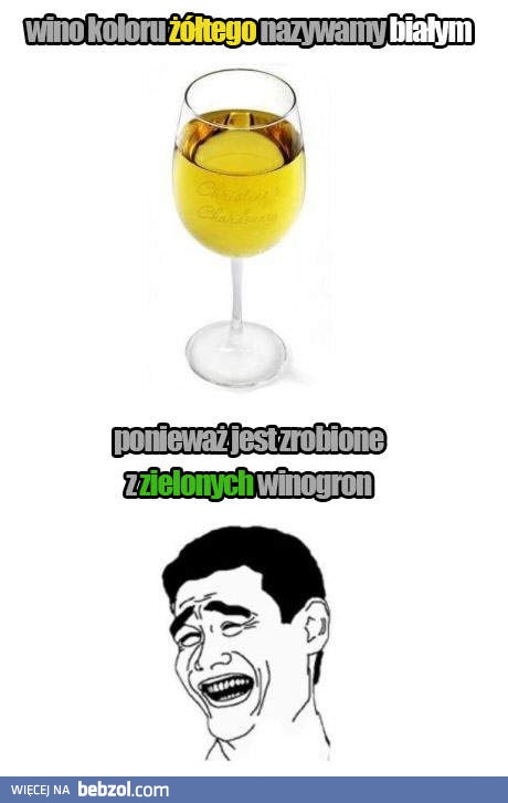 Logika alkoholu