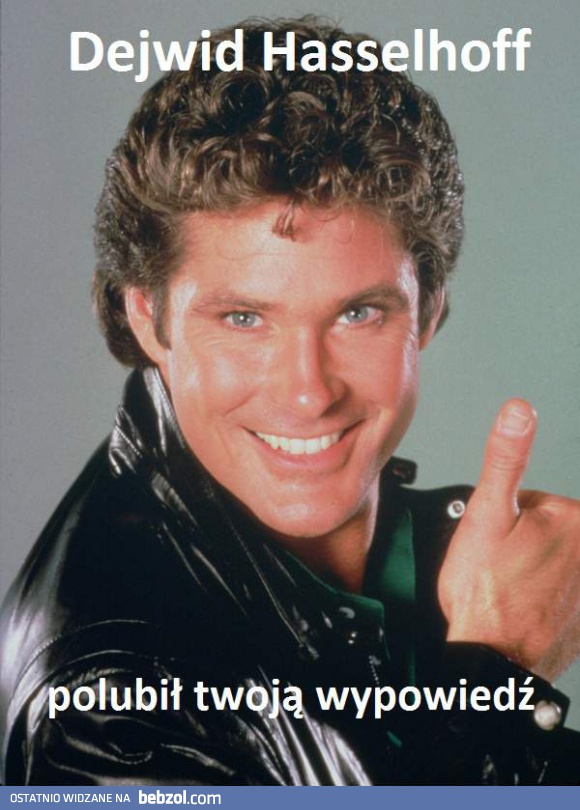 David Hasselhoff to lubi!