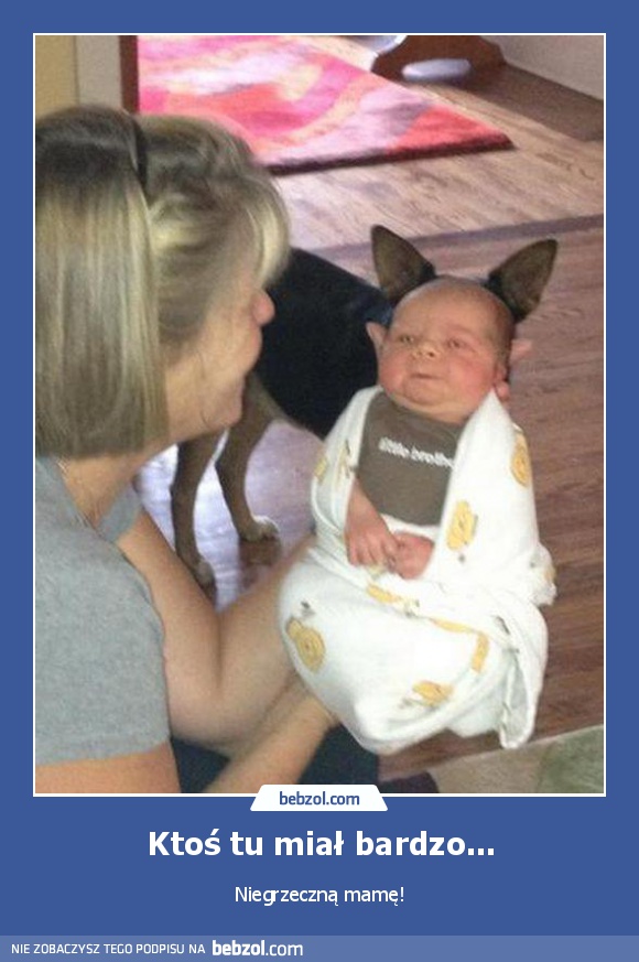 Ktoś tu miał bardzo...